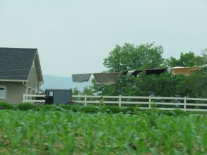 Amish, Pennsylvania